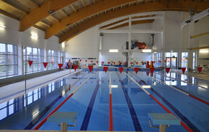 natation2.jpg